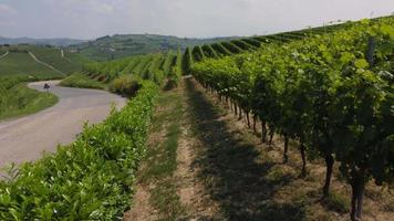 agricultura de vinhedos e produção de vinho em barbaresco asti vista aérea langhe monferrato, piemonte video