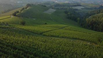 wijngaard landbouw in barolo antenne visie in langhe, Piemonte video