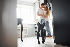 Happy young modern couple in the kitchen at home with their cute dog photo