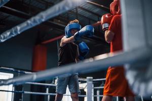 Two boys in protective equipment have sparring and fighting on the boxing ring photo