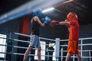 Two boys in protective equipment have sparring and fighting on the boxing ring photo