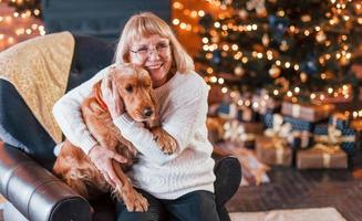 Grandmother indoors with dog in christmas decorated room photo