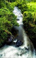 vista al río de montaña con rocas foto