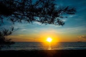 hermosa vista de la puesta de sol de la playa con silueta de rama de árbol foto