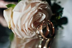 Bridal bouquet of pink peonies with wedding rings photo