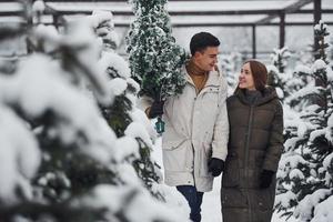 Young couple walking with new christmas tree for the holidays outdoors photo