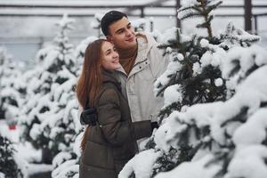 Young cute couple walking outdoors near fresh christmas fir trees photo