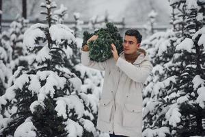 Young handsome man carrying fresh cutted fir tree outdoors photo