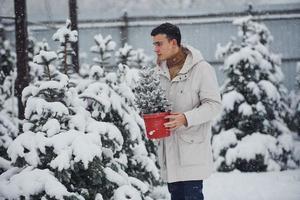 Handsome young man in warm coat holding red pot with fir tree outdoors at daytime photo