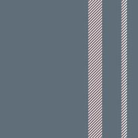 Vertical stripes seamless pattern. Lines vector abstract design. Stripe texture suitable fashion textiles.