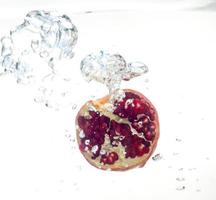 Garnet in the water photo