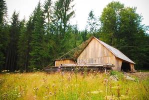 wooden barn in forest photo