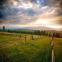 beautiful field in Carpathians photo