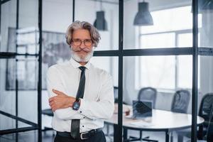 Mature businessman with grey hair and beard in formal clothes is in the office photo