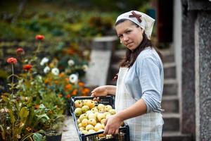 woman in garden photo