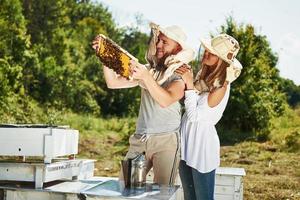 Two beekeepers works with honeycomb full of bees outdoors at sunny day. Man and woman photo