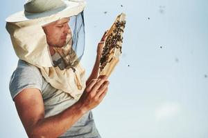 Clear sky. Beekeeper works with honeycomb full of bees outdoors at sunny day photo