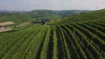 agricultura de viñedos en barbaresco asti vista aérea, producción de vino en langhe monferrato, piamonte video