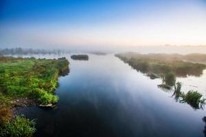 zona pantanosa misteriosa foto