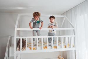 Two little boys resting and have fun indoors in the bedroom together. Cat sitting near them photo