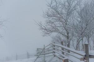 Winter landscape in mountains photo