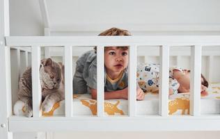 Two little boys resting and have fun indoors in the bedroom together. Cat sitting near them photo