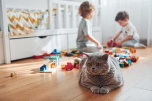 Cat sitting in front of two little boys that have fun indoors in the bedroom with plastic construction set photo