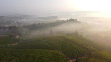 Vineyard Aerial View in Langhe, Piedmont Italy
