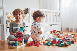 Two little boys have fun indoors in the bedroom with plastic construction set. Cat sits behind them photo