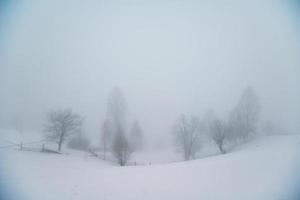 hermoso paisaje de invierno foto