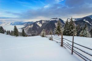 Carpathian winter mountains photo