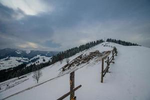 montañas de los Cárpatos de invierno foto