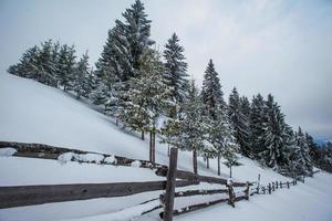 Carpathian winter mountains photo