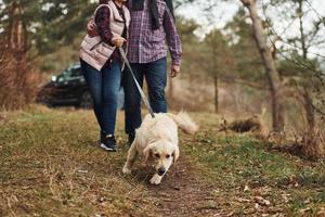 Happy mature couple have a walk with their dog in autumn or spring forest near modern car photo