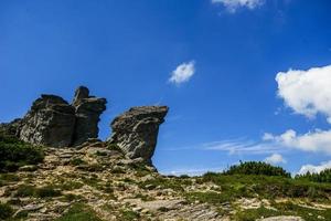 Summer landscape in the mountains photo