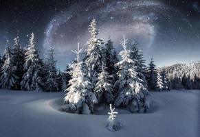 Majestic landscape with forest at winter night time with stars and galaxy in the sky. Scenery background. Elements furnished by NASA photo