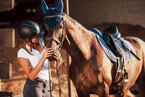 Animal is in blue clothes. Horsewoman in uniform and black protective helmet with her horse photo