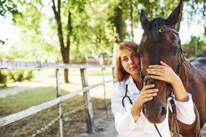 Embracing the animal. Female vet examining horse outdoors at the farm at daytime photo