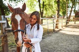 Front view. Female vet examining horse outdoors at the farm at daytime photo