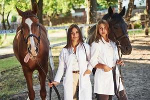 Assistance is here. Two female vets examining horse outdoors at the farm at daytime photo