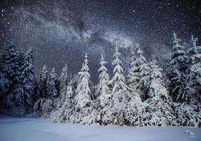 Majestic landscape with forest at winter night time with stars and galaxy in the sky. Scenery background. Elements furnished by NASA