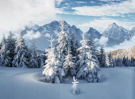 majestuoso paisaje con bosque en invierno. fondo de paisaje foto