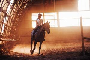 majestuosa imagen de silueta de caballo con jinete sobre fondo de puesta de sol. la chica jockey en la parte trasera de un semental monta en un hangar en una granja foto