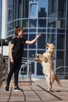 Young positive woman have fun and doing tricks with her dog when have a walk outdoors near business building photo