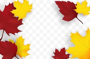 Autumn Falling Leaves vector