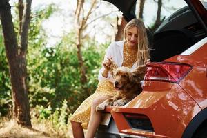 Sits on the back of the car. Woman with her dog outdoors in the forest have good time photo