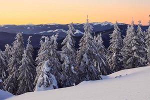 hermosas montañas majestuosas en el horizonte. mágico paisaje invernal con árboles cubiertos de nieve durante el día