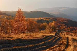 majestuoso paisaje de árboles de otoño y montañas por el horizonte foto