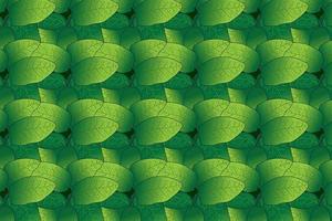 The picture shows a green bunch of leaves repeating, it is intended for background, wallpaper, postcards, clothes and fabric printing and you can use it in different cases. vector