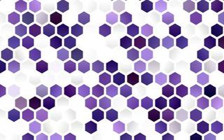 Light Purple vector background with hexagons.